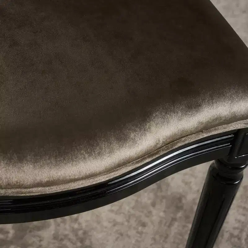 Set di 2 sedie da pranzo in velluto, schienale Luigi XVI con finitura in legno lucido, capacità 113 kg